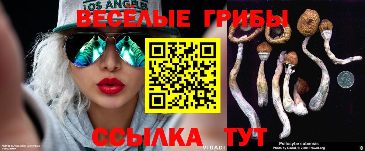 Псилоцибиновые грибы мухоморы Бугуруслан