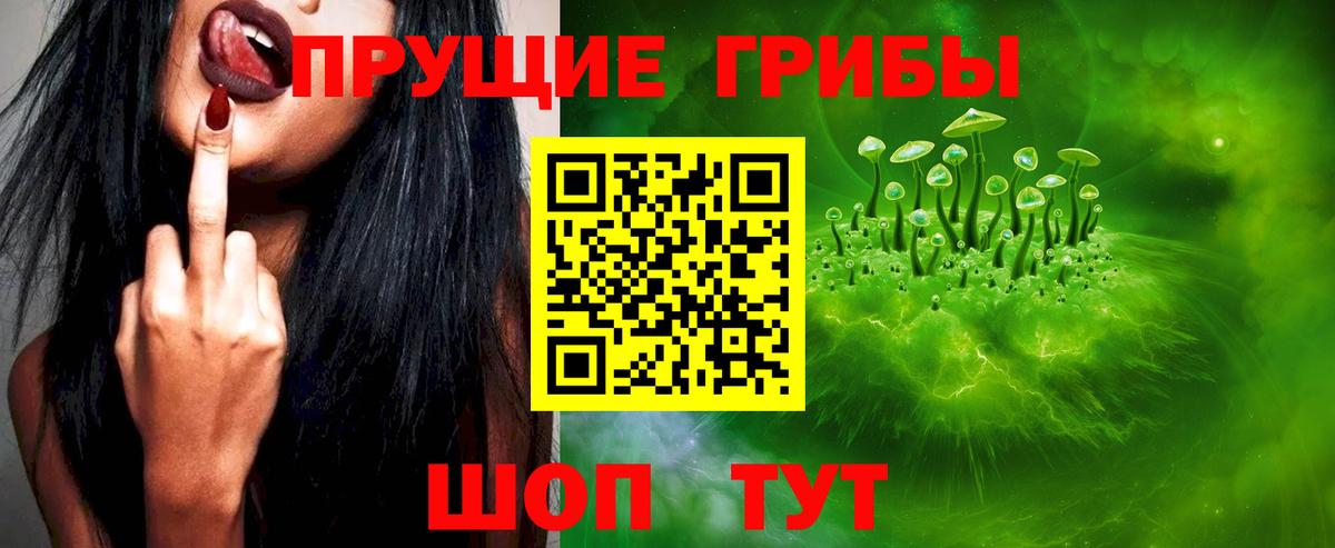 Бугуруслан  Галлюциногенные грибы Cubensis  Вход с VPN 